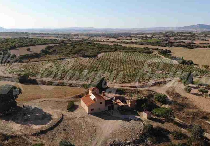 Farm hus i Almansa, Albacete, Almansa - € 560.000 | Ref: SF0516 - foto 1